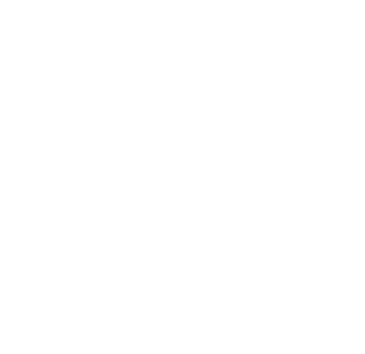 VORTEX Renewables